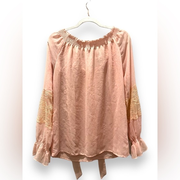 BOSTON PROPER | Sheer Retro Style Lace Sleeve Insert Sheer Light Pink Blouse 10 - Picture 6 of 9